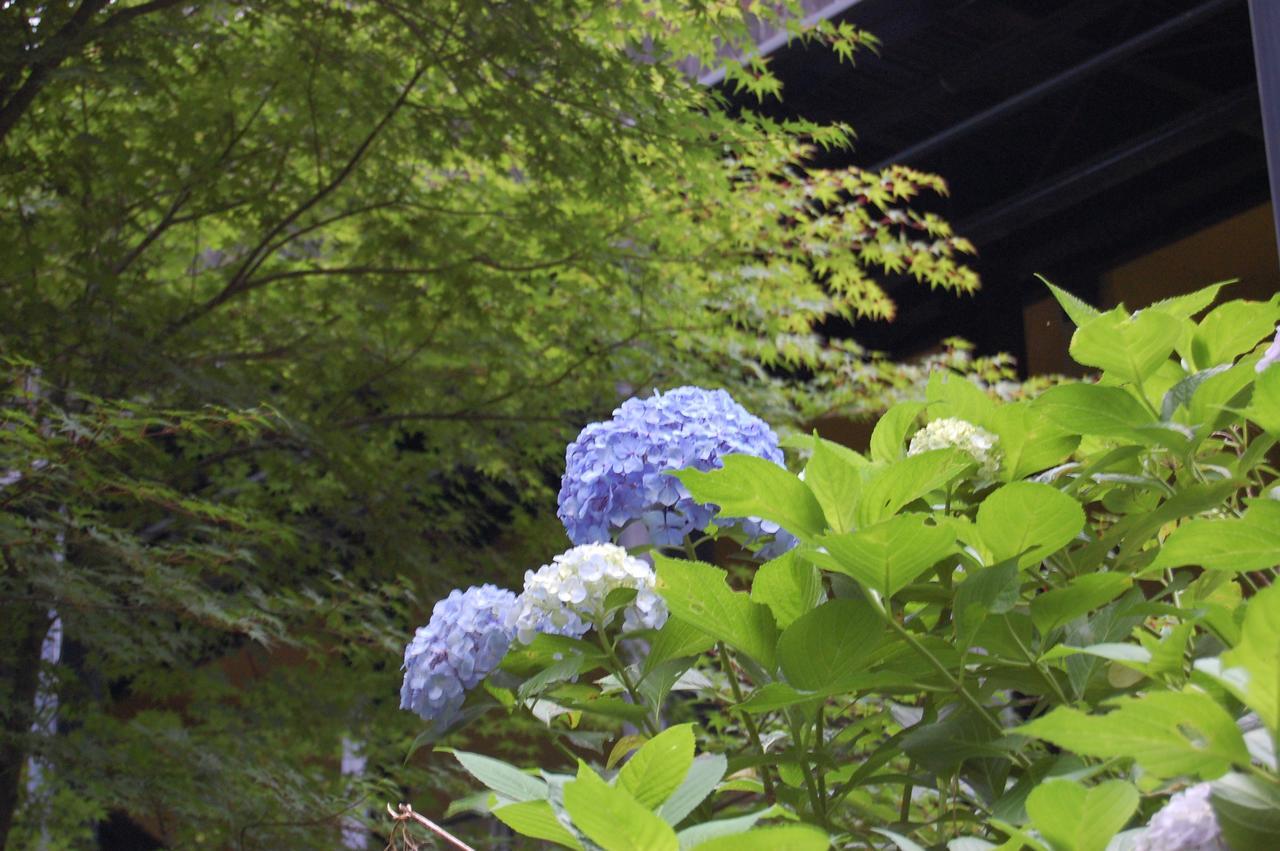 Kunihiro Yashiki Hotel Nasu Eksteriør billede